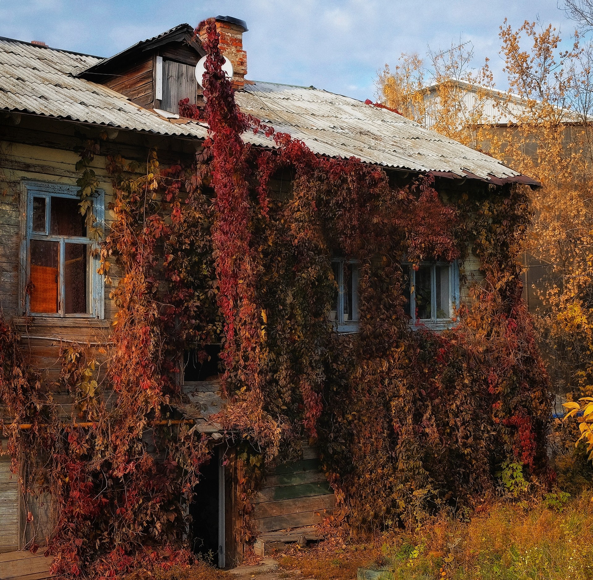 Волшебные краски осени