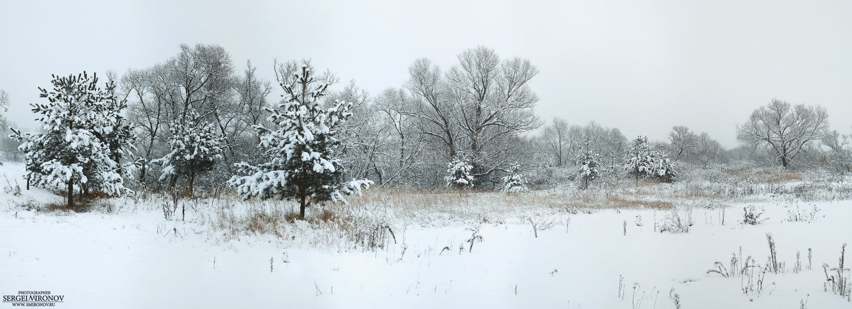 зимняя панорама