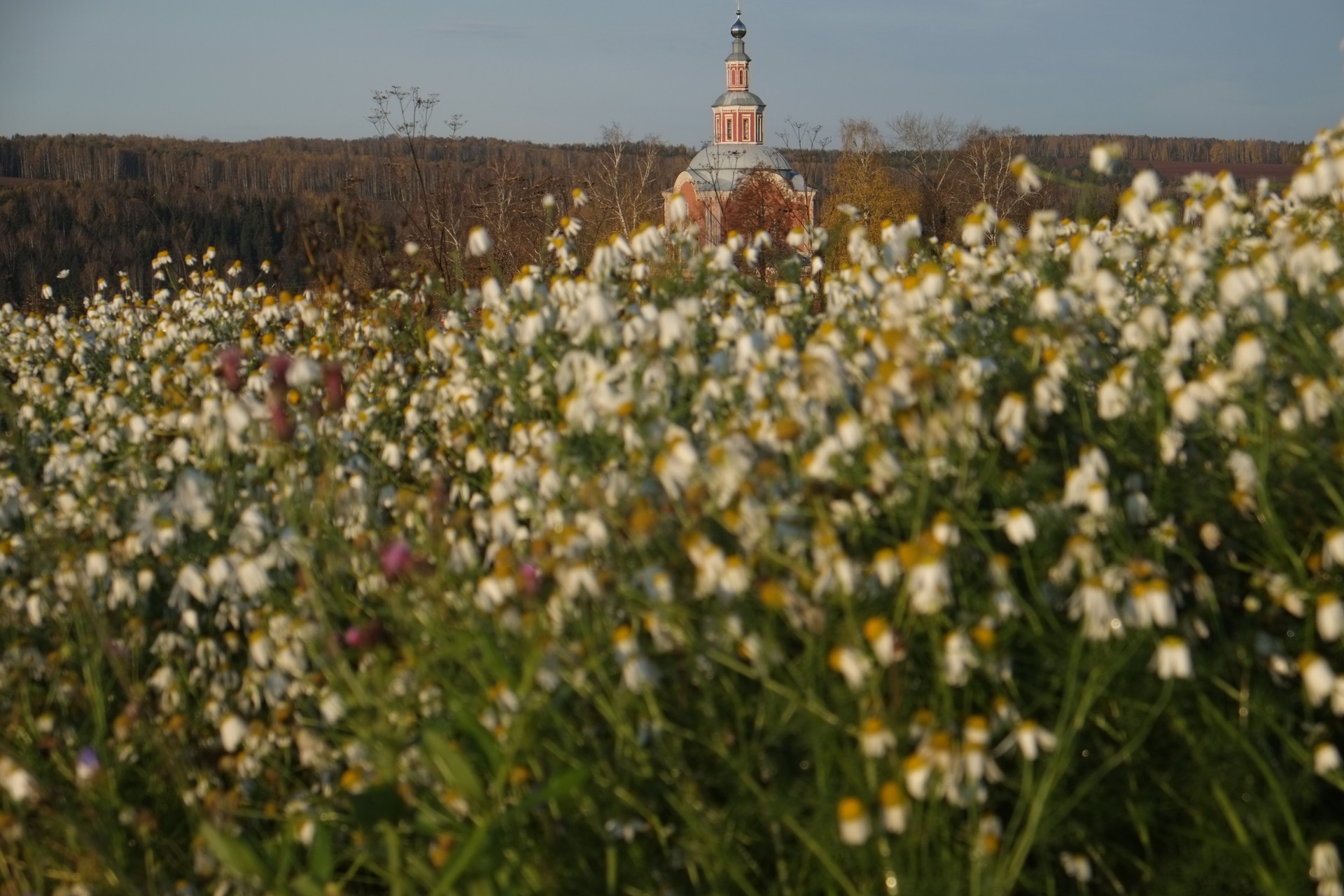 Церковь