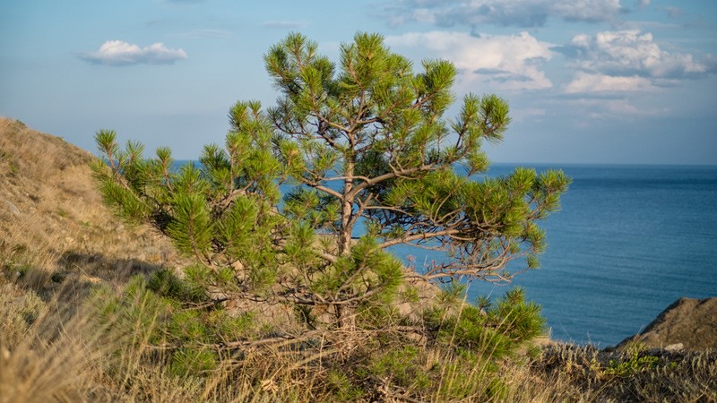 Фото сделанное пользователем obakiri