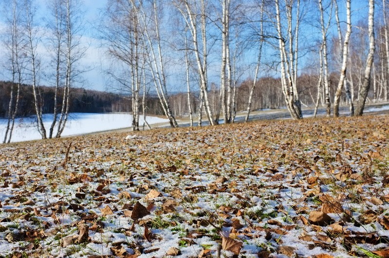 Фото сделанное пользователем Angar