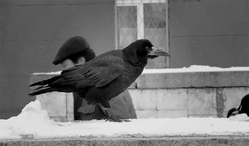 Фото сделанное пользователем kenito