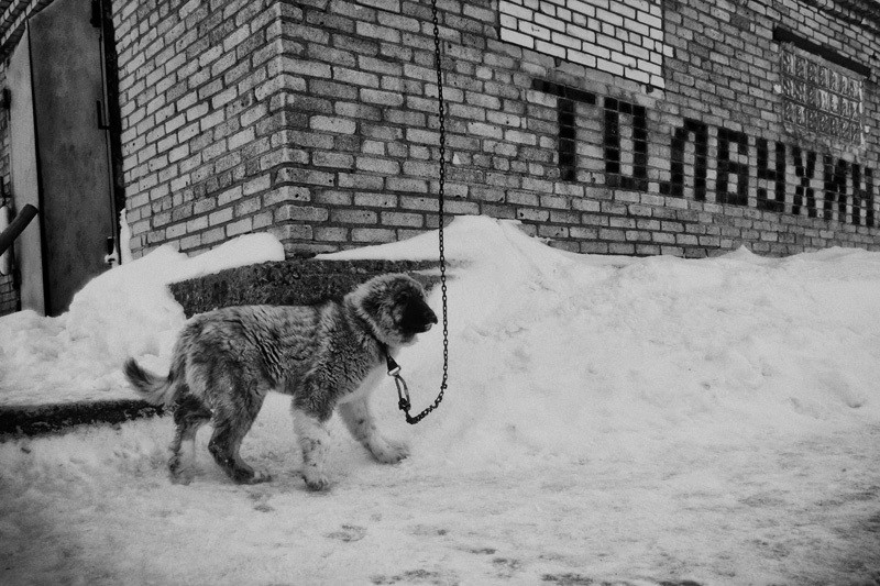 Фото сделанное пользователем InDustReal