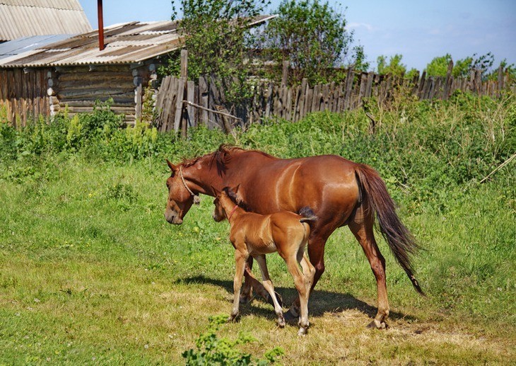 Фото сделанное пользователем URUM