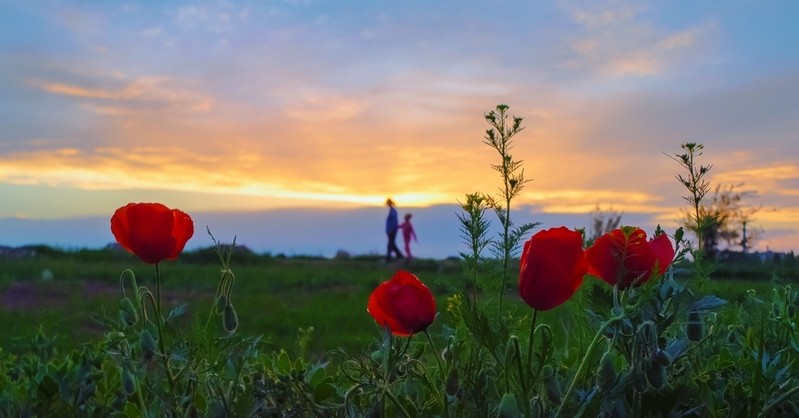 Фото сделанное пользователем kenito