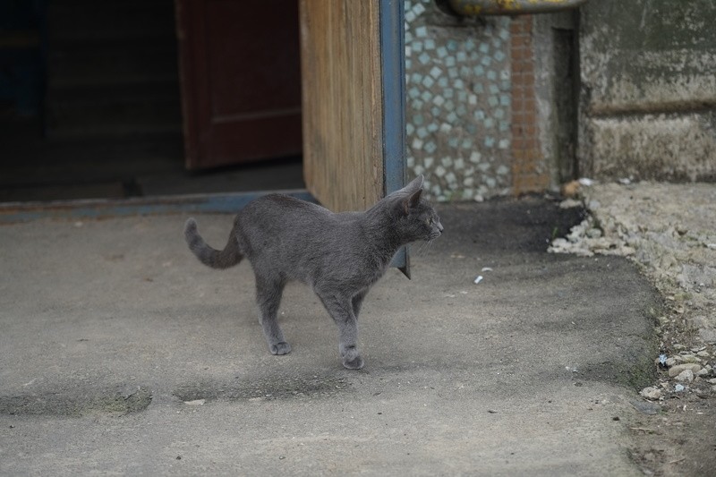 Фото сделанное пользователем Darkling