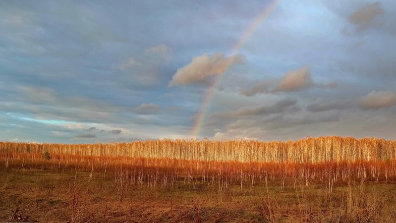 Фото сделанное пользователем URUM