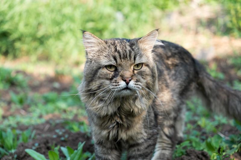 Фото сделанное пользователем shixaro