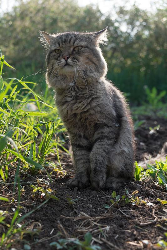 Фото сделанное пользователем shixaro