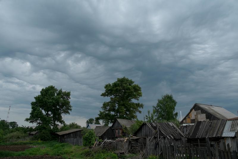 Фото сделанное пользователем shixaro