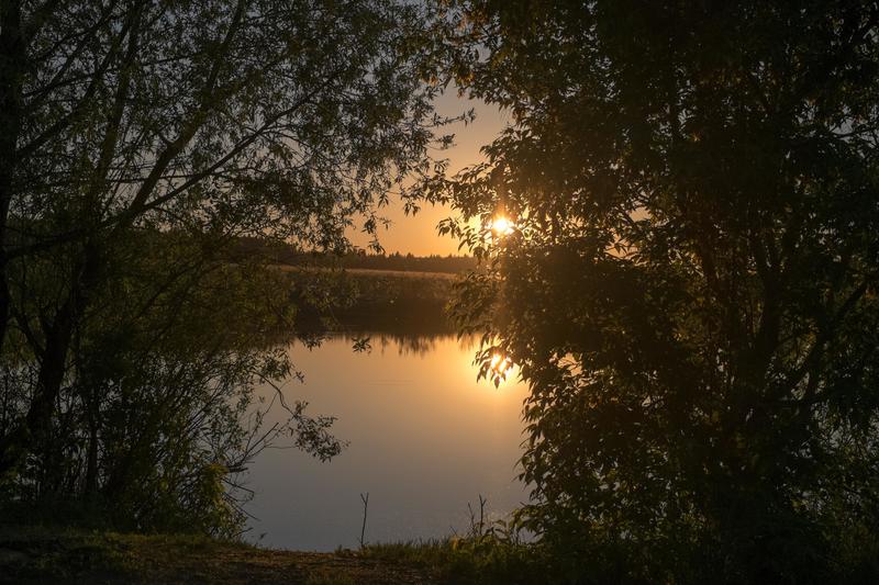 Фото сделанное пользователем shixaro