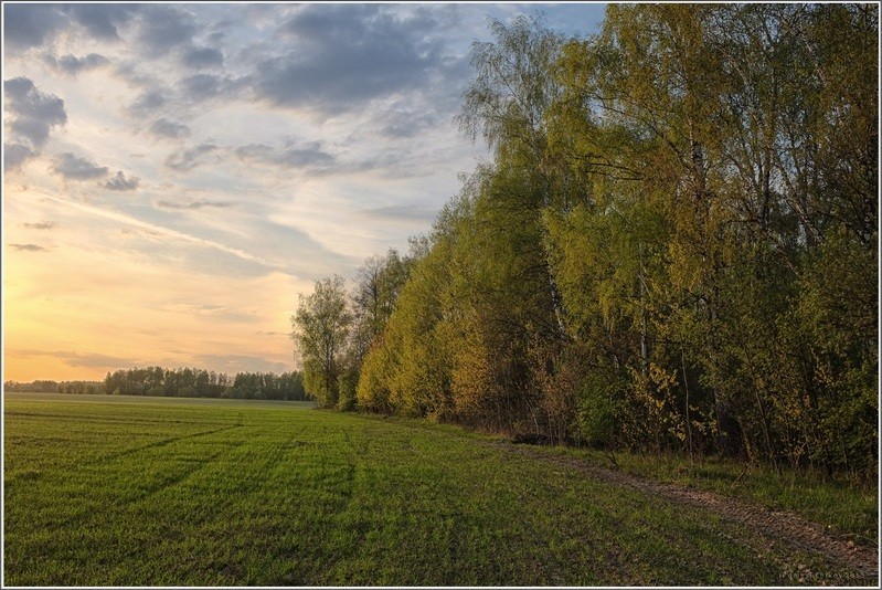 Фото сделанное пользователем igorcentr