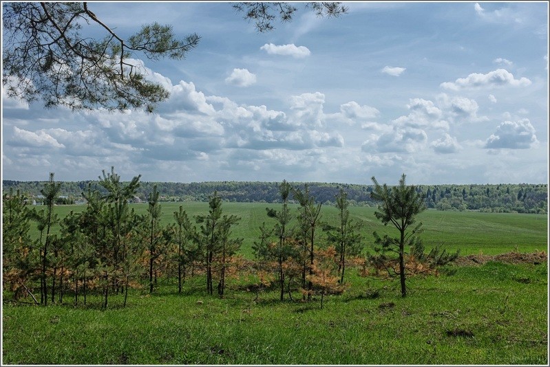 Фото сделанное пользователем igorcentr