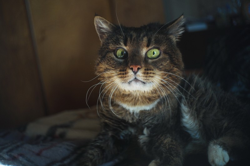 Фото сделанное пользователем Валерий 59