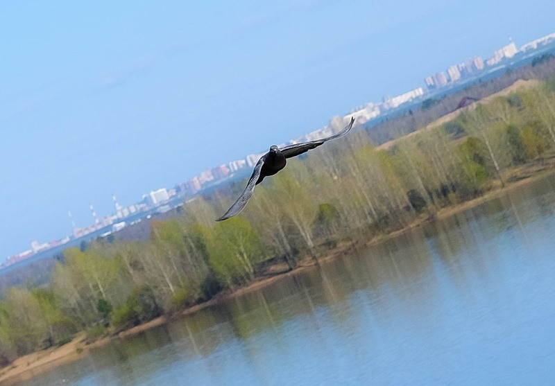 Фото сделанное пользователем ДимаКо