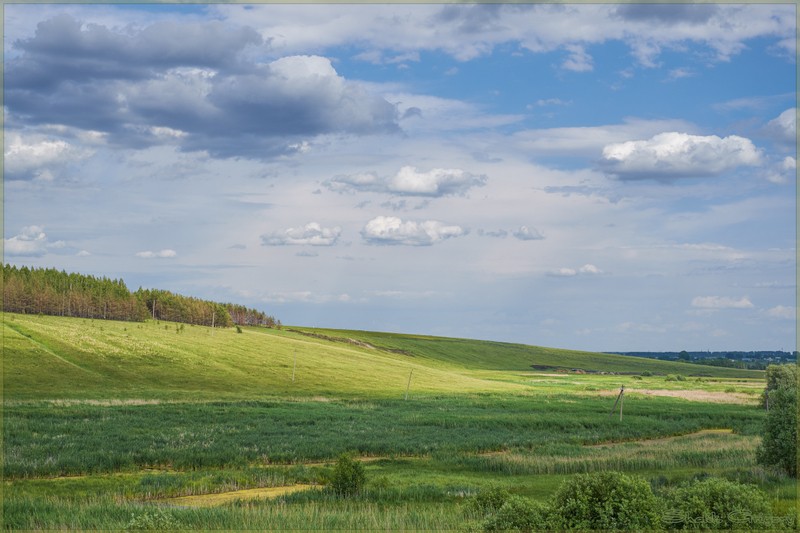 Фото сделанное пользователем rus-lis