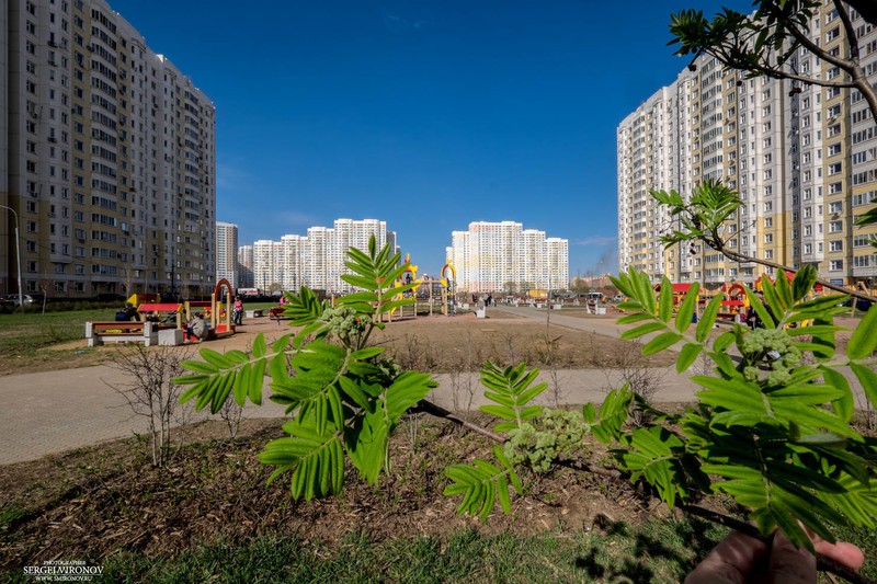 Фото сделанное пользователем Сергей Миронов