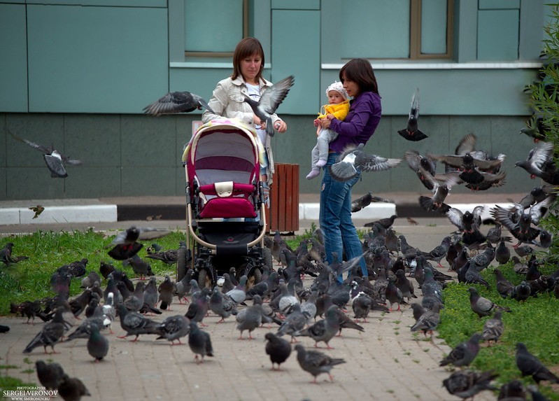 Фото сделанное пользователем Сергей Миронов