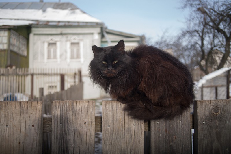 Фото сделанное пользователем blacker