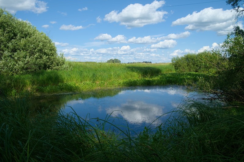 Фото сделанное пользователем KRain