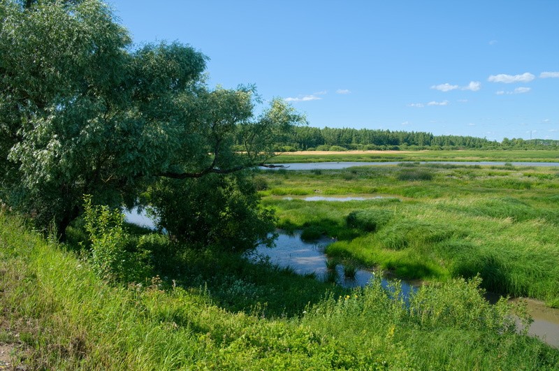 Фото сделанное пользователем KRain