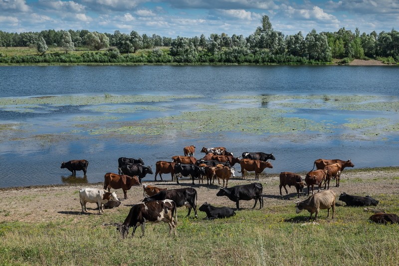 Фото сделанное пользователем Митя