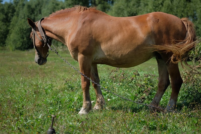 Фото сделанное пользователем Vlad_DDDD