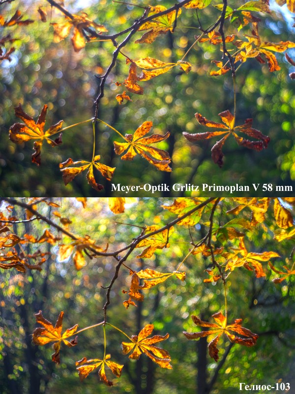 Фото сделанное пользователем Сергей Миронов