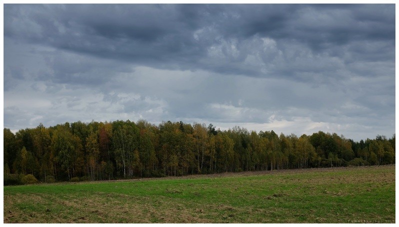 Фото сделанное пользователем igorcentr