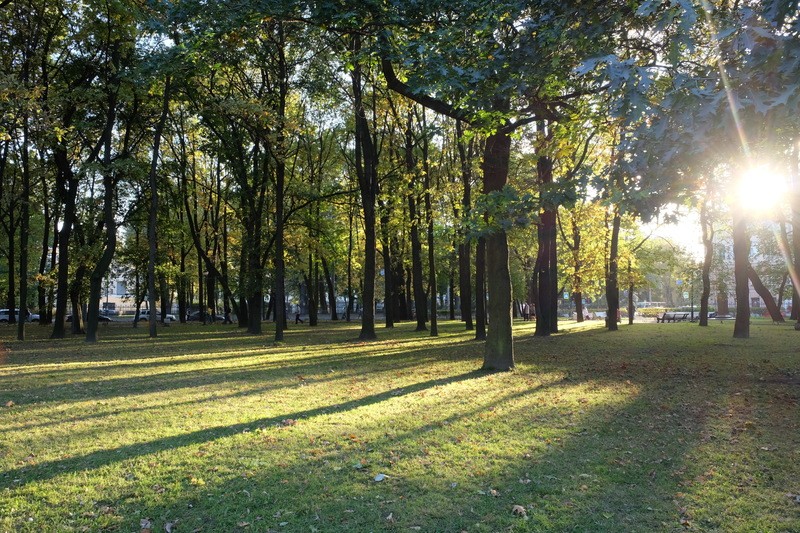 Фото сделанное пользователем daniln