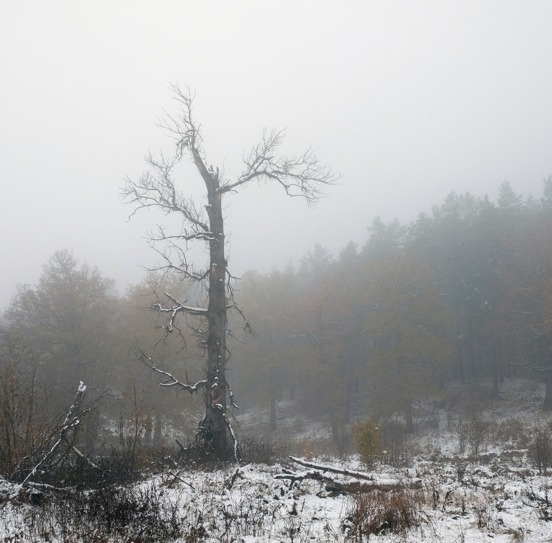 Фото сделанное пользователем Paavo