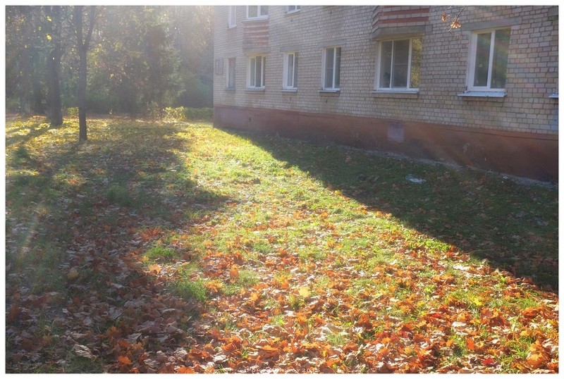 Фото сделанное пользователем igorcentr