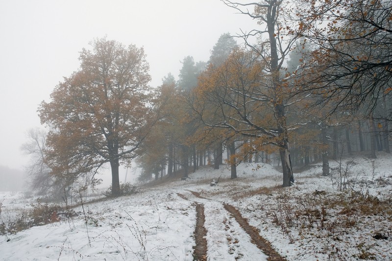 Фото сделанное пользователем Paavo