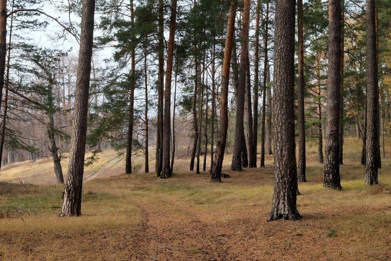 Фото сделанное пользователем Paavo