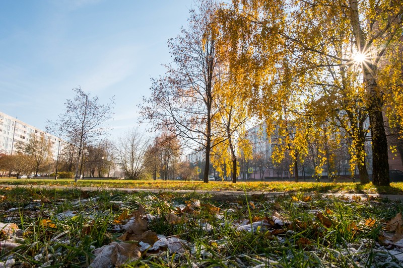 Фото сделанное пользователем Voldemar_p