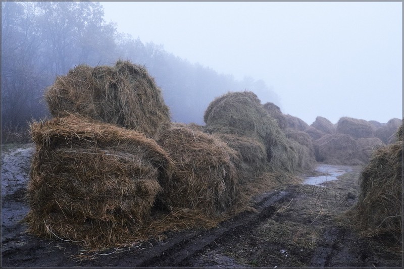 Фото сделанное пользователем rus-lis