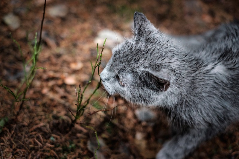 Фото сделанное пользователем Stepan