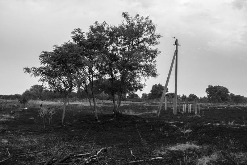 Фото сделанное пользователем Ksysha