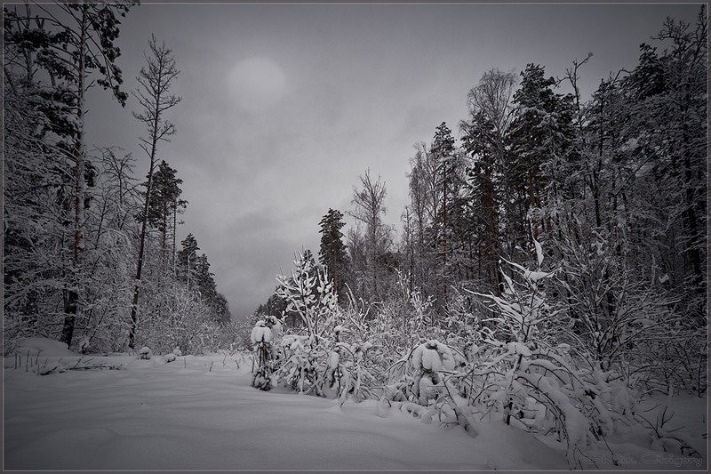 Фото сделанное пользователем rus-lis