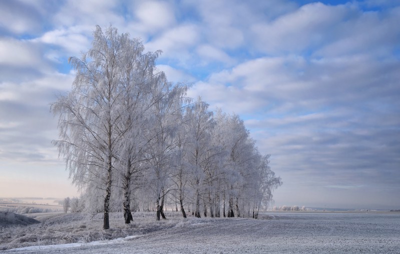 Фото сделанное пользователем cornet