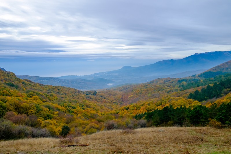 Фото сделанное пользователем BELBEK