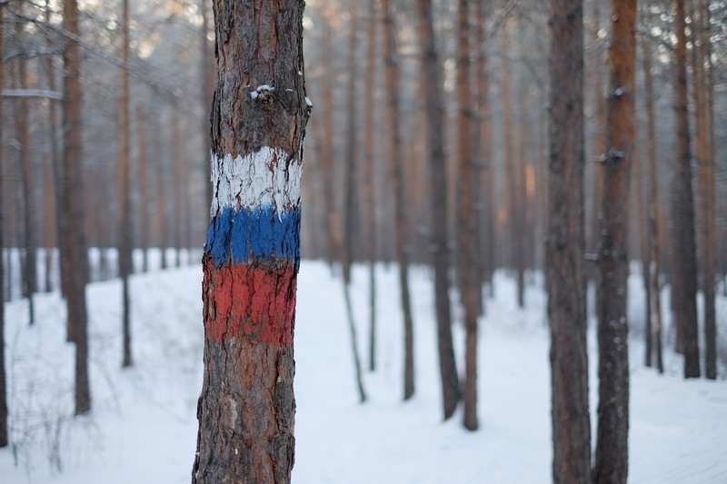 Фото сделанное пользователем undeadsoldier