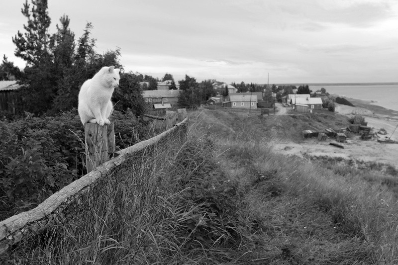 Фото сделанное пользователем Серёжа