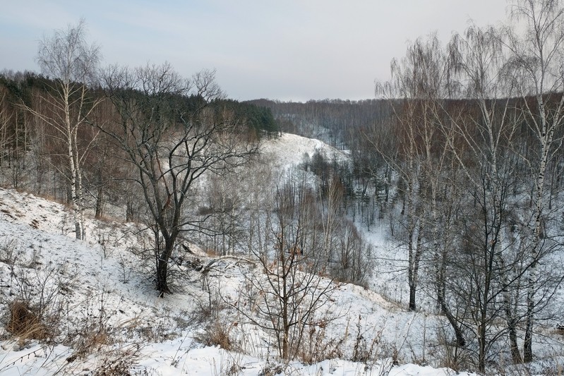 Фото сделанное пользователем Paavo