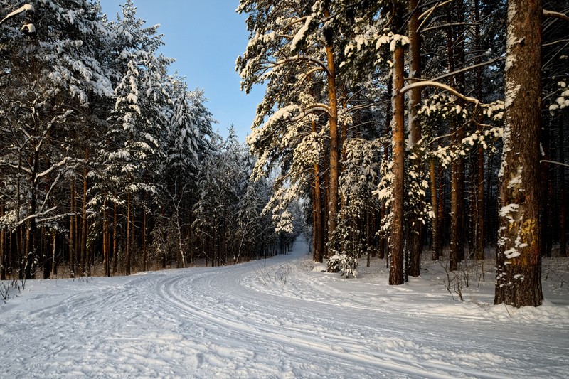 Фото сделанное пользователем Skier