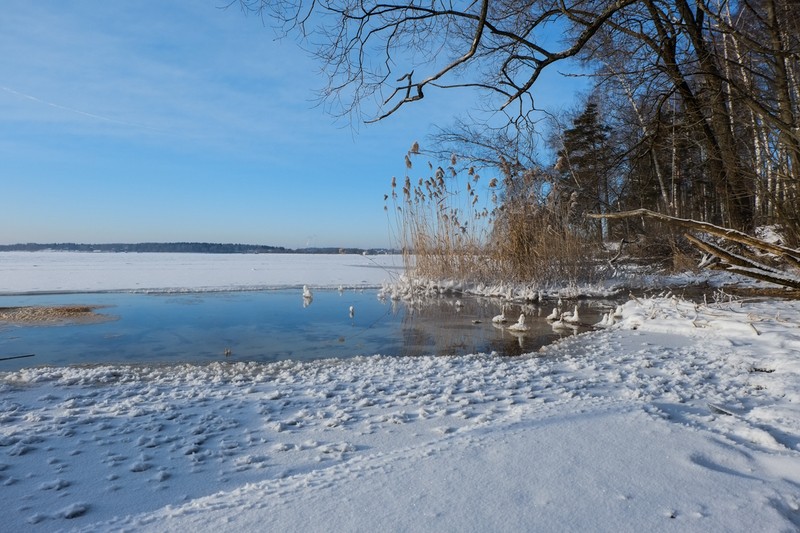 Фото сделанное пользователем OSA0502