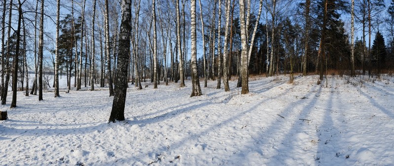 Фото сделанное пользователем OSA0502