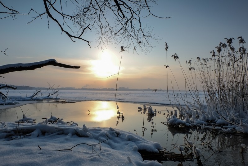 Фото сделанное пользователем OSA0502