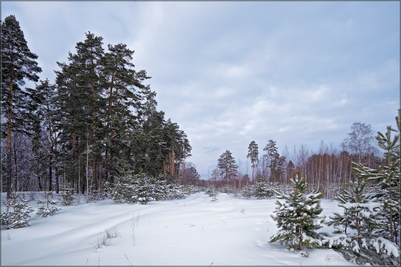 Фото сделанное пользователем rus-lis