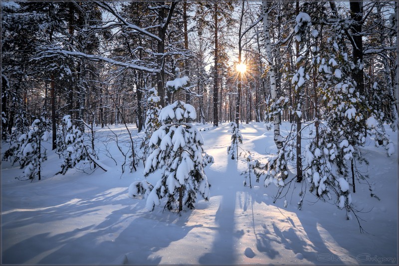 Фото сделанное пользователем rus-lis